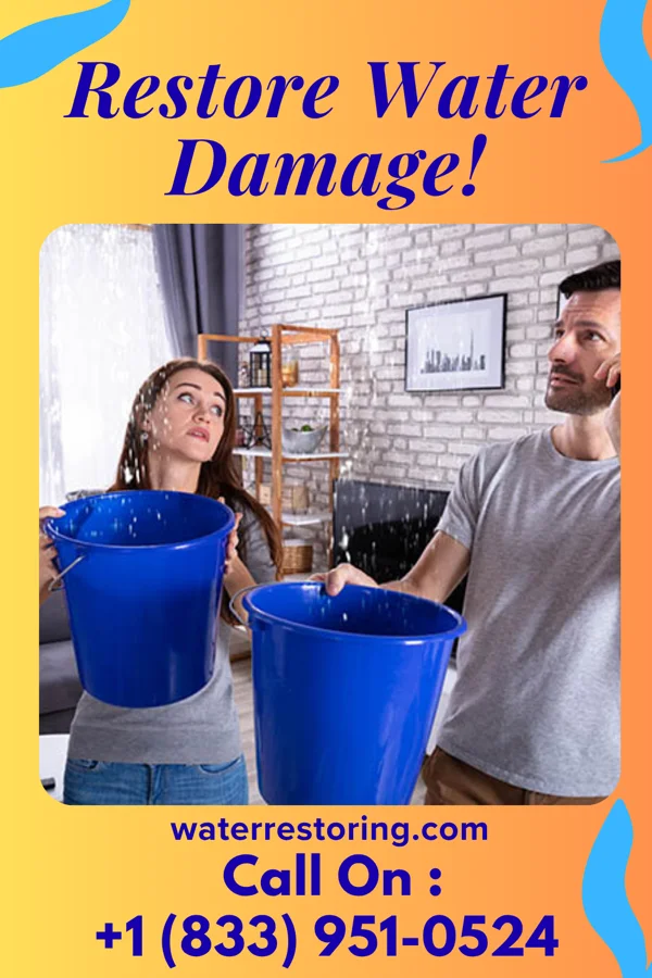 water restoration Superior Water Solutions Team Kingfield